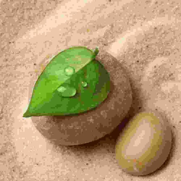 product13